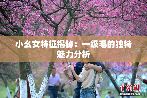 小幺女特征揭秘：一级毛的独特魅力分析