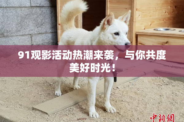 91观影活动热潮来袭，与你共度美好时光！