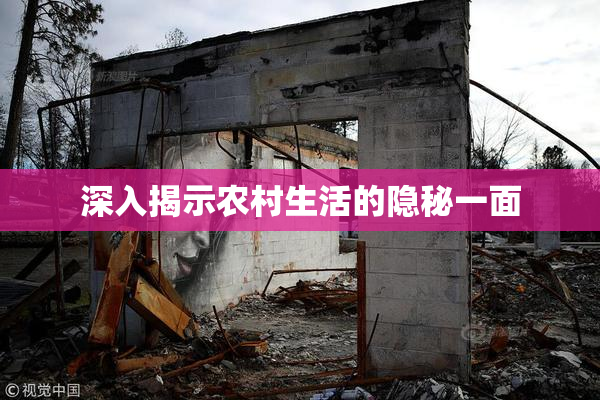 深入揭示农村生活的隐秘一面