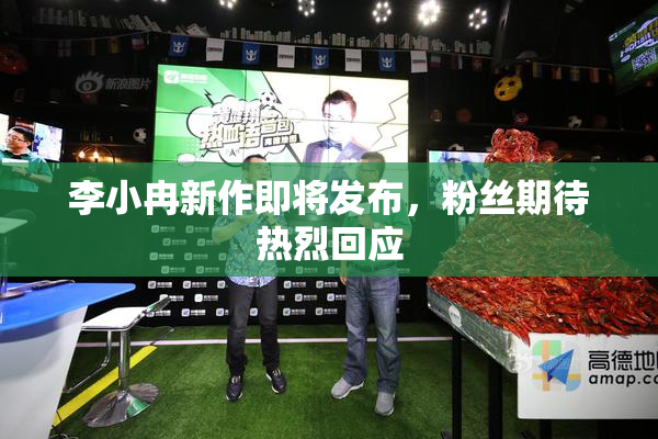 李小冉新作即将发布，粉丝期待热烈回应