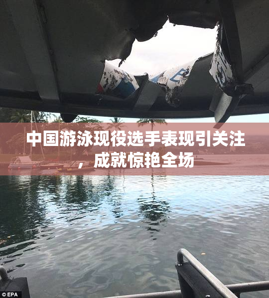 中国游泳现役选手表现引关注，成就惊艳全场