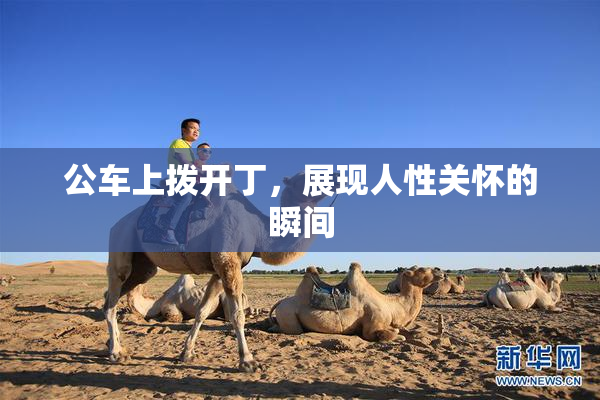 公车上拨开丁，展现人性关怀的瞬间