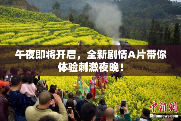 午夜即将开启，全新剧情A片带你体验刺激夜晚！