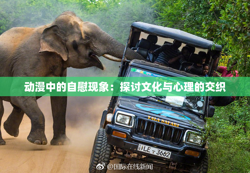 动漫中的自慰现象：探讨文化与心理的交织