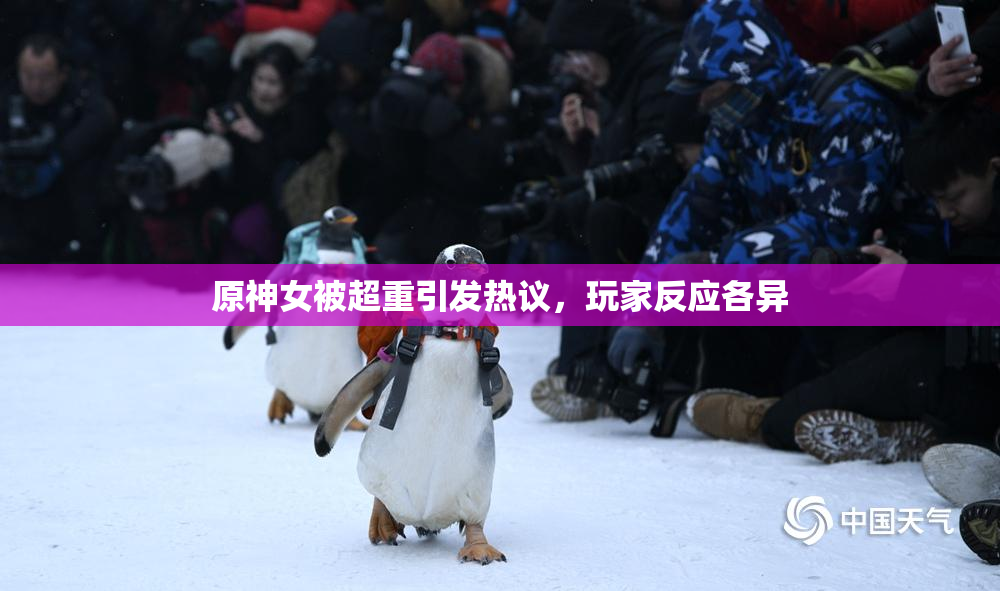 原神女被超重引发热议，玩家反应各异