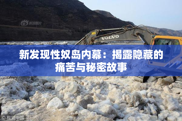新发现性奴岛内幕：揭露隐藏的痛苦与秘密故事