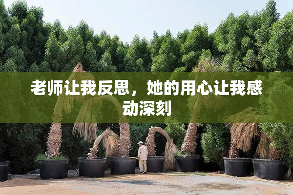 老师让我反思，她的用心让我感动深刻