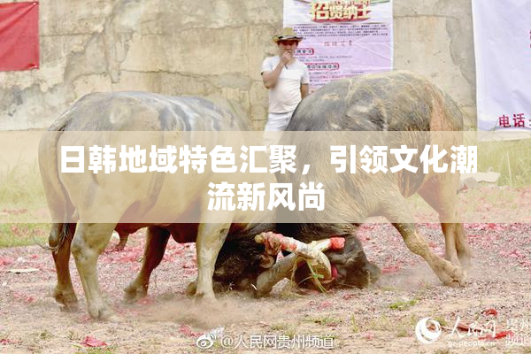 日韩地域特色汇聚，引领文化潮流新风尚
