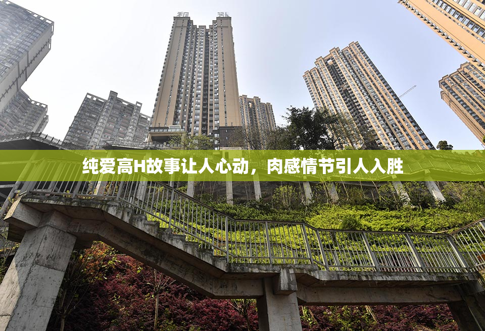 纯爱高H故事让人心动，肉感情节引人入胜