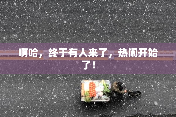 啊哈，终于有人来了，热闹开始了！