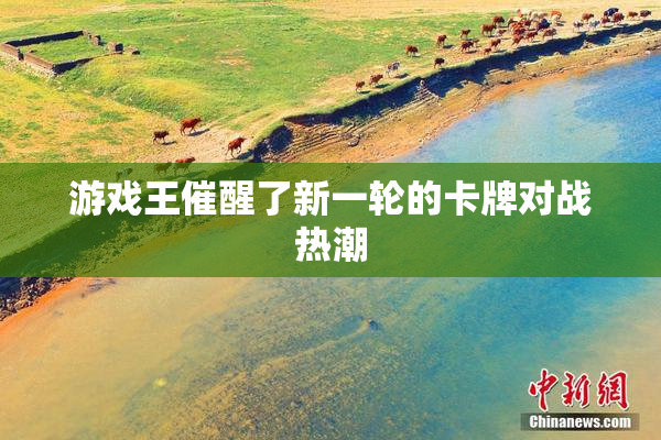 游戏王催醒了新一轮的卡牌对战热潮