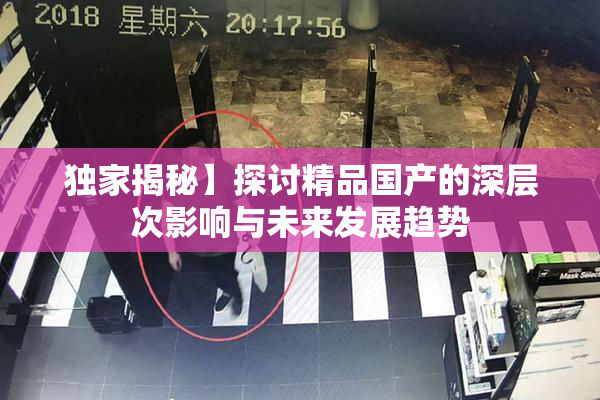 独家揭秘】探讨精品国产的深层次影响与未来发展趋势