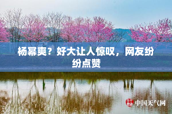杨幂爽？好大让人惊叹，网友纷纷点赞