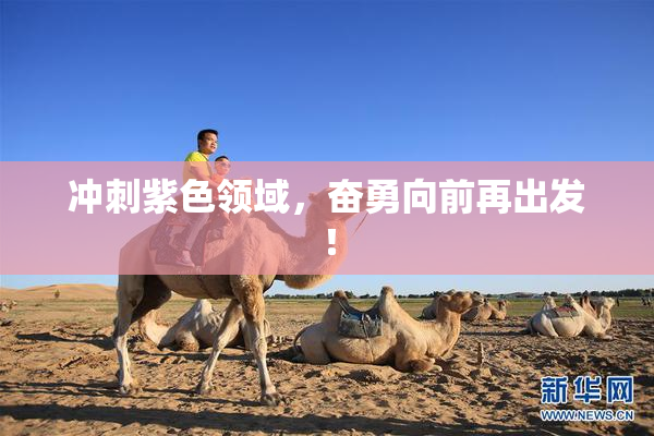 冲刺紫色领域，奋勇向前再出发！