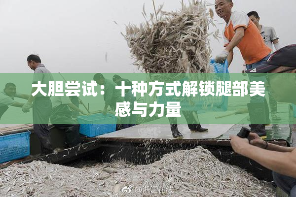 大胆尝试：十种方式解锁腿部美感与力量
