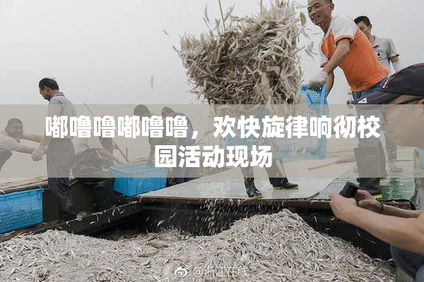 嘟噜噜嘟噜噜，欢快旋律响彻校园活动现场