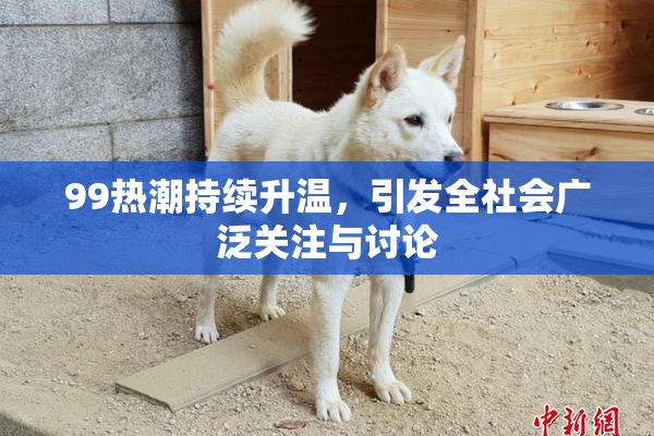 99热潮持续升温，引发全社会广泛关注与讨论