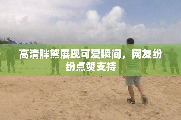 高清胖熊展现可爱瞬间，网友纷纷点赞支持