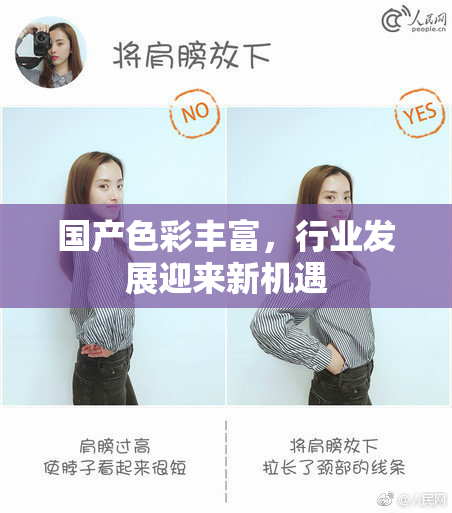 国产色彩丰富，行业发展迎来新机遇