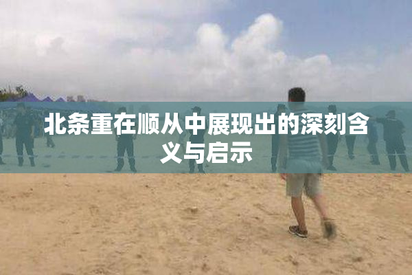 北条重在顺从中展现出的深刻含义与启示