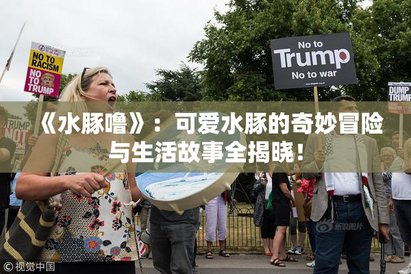 《水豚噜》：可爱水豚的奇妙冒险与生活故事全揭晓！