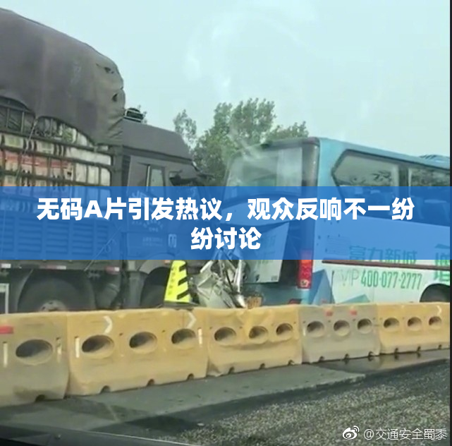 无码A片引发热议，观众反响不一纷纷讨论