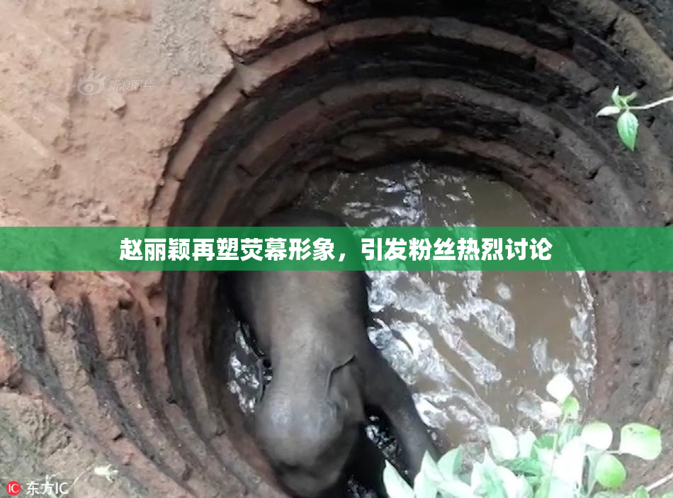 赵丽颖再塑荧幕形象，引发粉丝热烈讨论