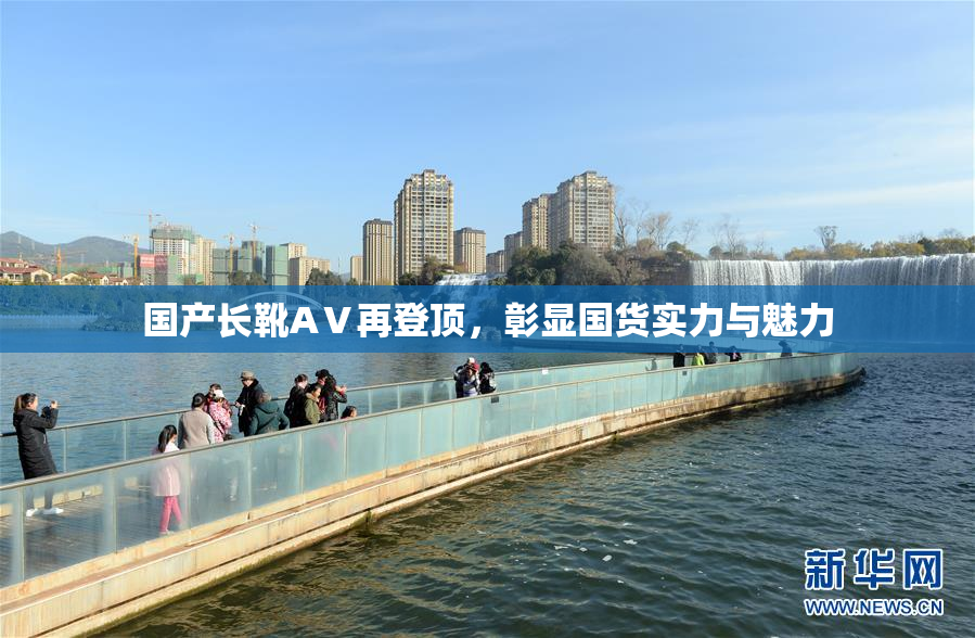 国产长靴AⅤ再登顶，彰显国货实力与魅力