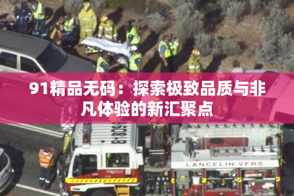 91精品无码：探索极致品质与非凡体验的新汇聚点