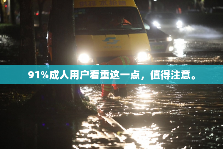 91%成人用户看重这一点，值得注意。