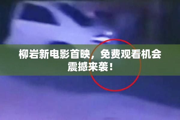 柳岩新电影首映，免费观看机会震撼来袭！
