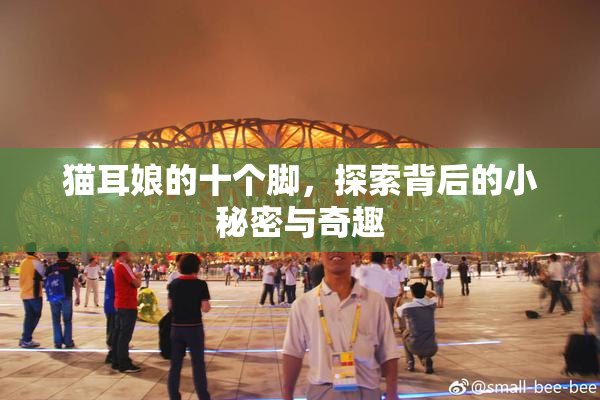 猫耳娘的十个脚，探索背后的小秘密与奇趣