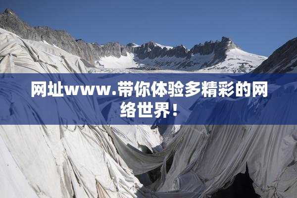 网址www.带你体验多精彩的网络世界！