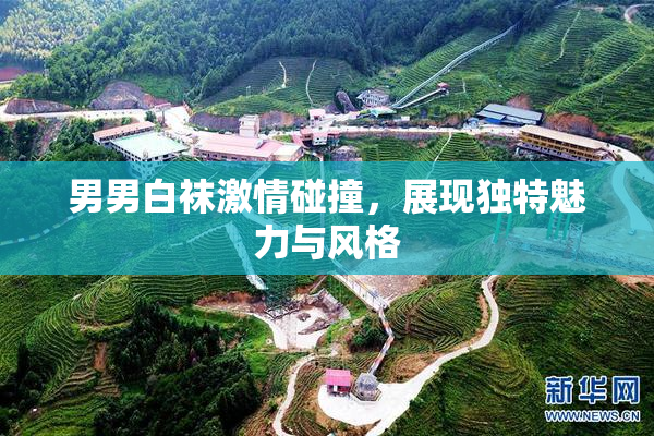 男男白袜激情碰撞，展现独特魅力与风格