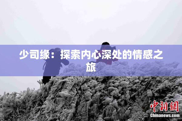 少司缘：探索内心深处的情感之旅