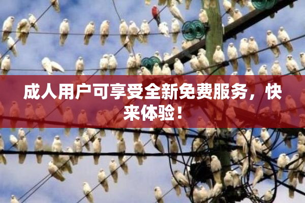 成人用户可享受全新免费服务，快来体验！
