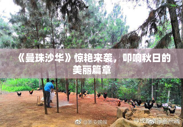 《曼珠沙华》惊艳来袭，叩响秋日的美丽篇章
