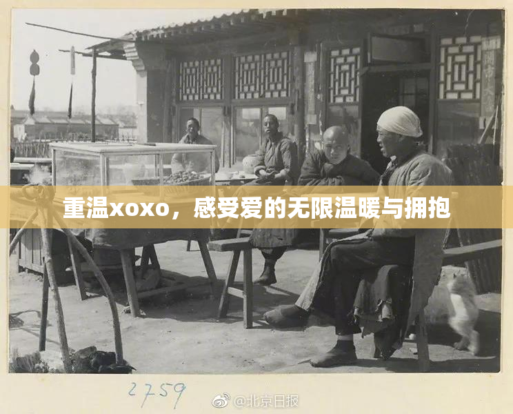 重温xoxo，感受爱的无限温暖与拥抱