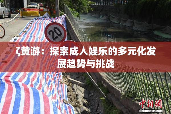 ζ黄游：探索成人娱乐的多元化发展趋势与挑战