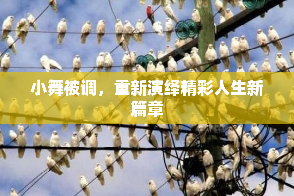 小舞被调，重新演绎精彩人生新篇章