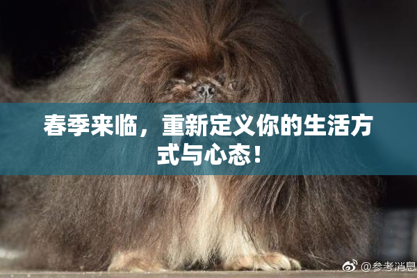春季来临，重新定义你的生活方式与心态！