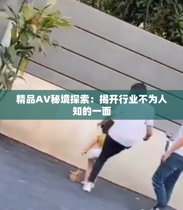 精品AV秘境探索：揭开行业不为人知的一面