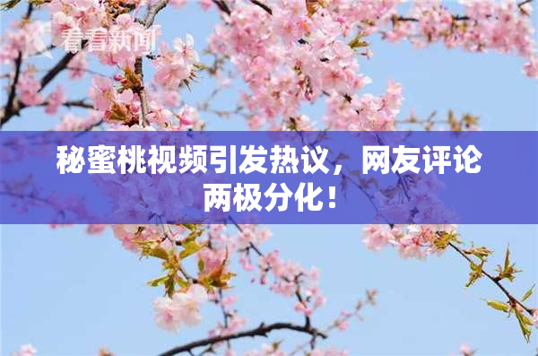 秘蜜桃视频引发热议，网友评论两极分化！