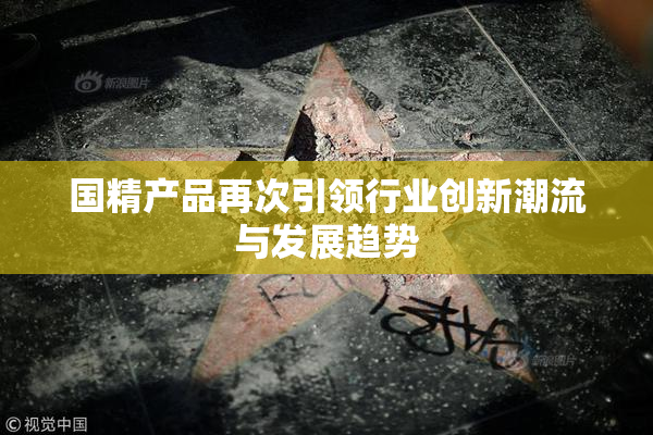 国精产品再次引领行业创新潮流与发展趋势