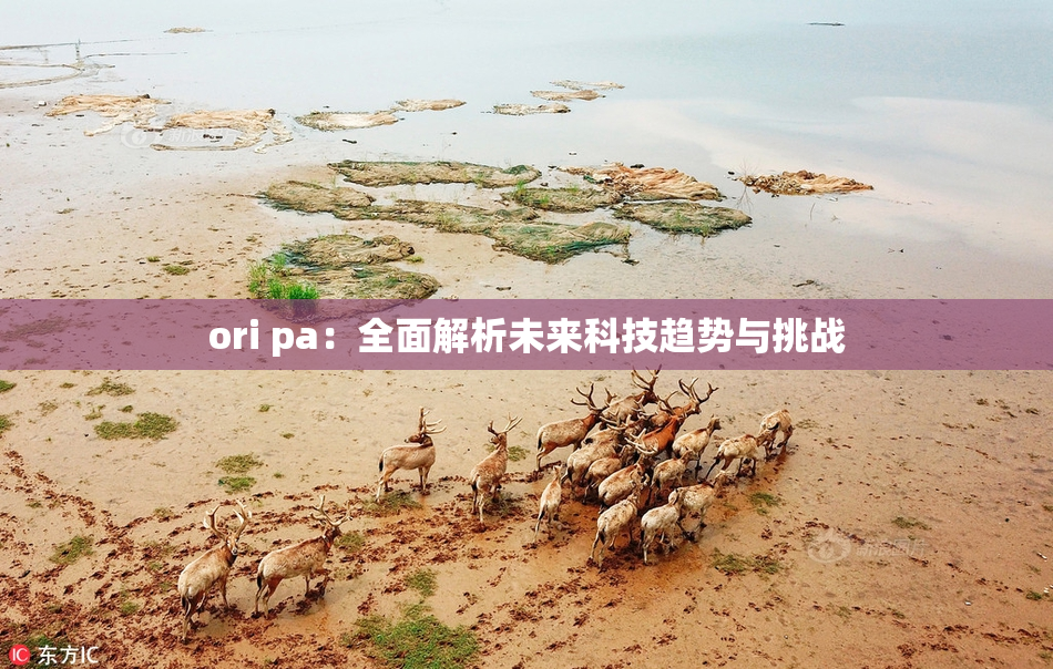 ori pa：全面解析未来科技趋势与挑战