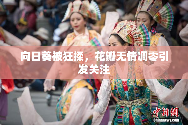 向日葵被狂揉，花瓣无情凋零引发关注