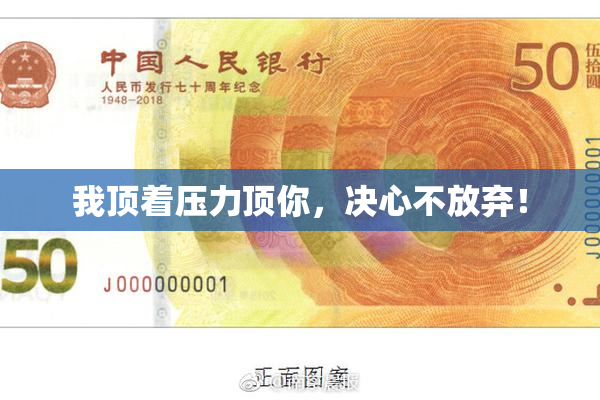 我顶着压力顶你，决心不放弃！