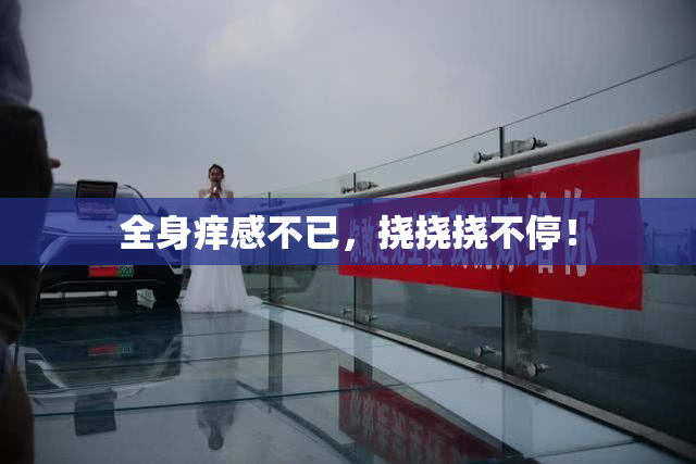全身痒感不已，挠挠挠不停！