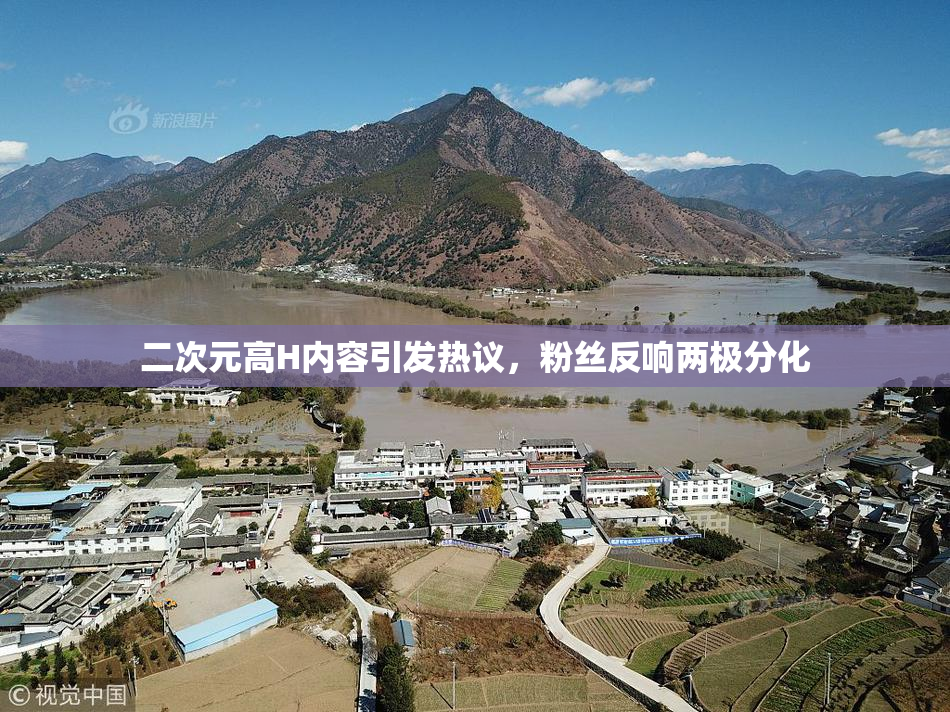 二次元高H内容引发热议，粉丝反响两极分化