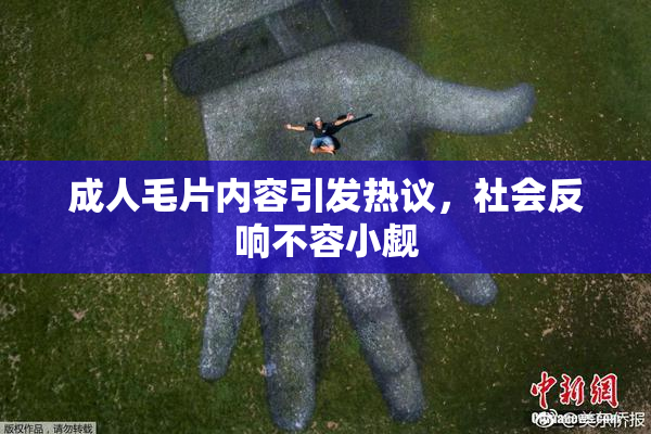 成人毛片内容引发热议，社会反响不容小觑